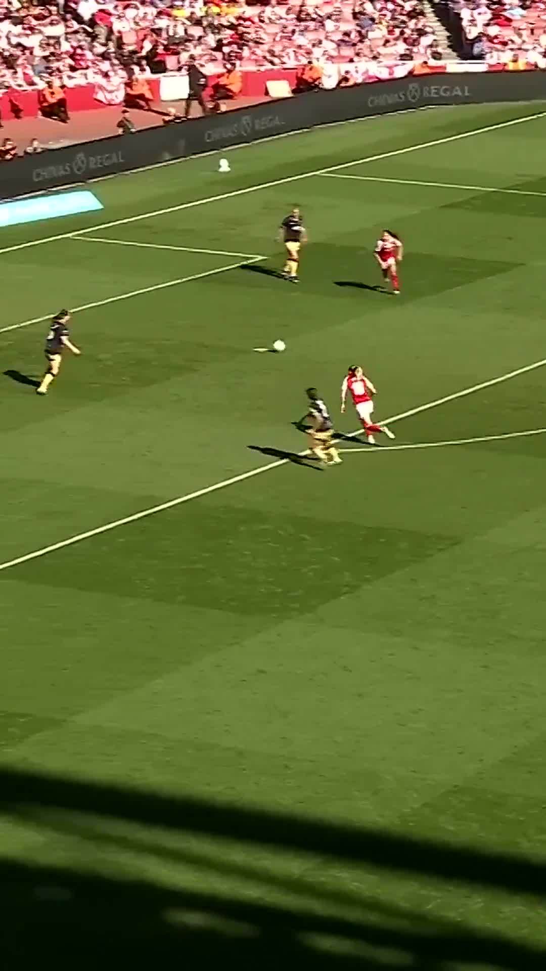 莎头组合兼项受伤引争议，奥运金牌换选择权遭