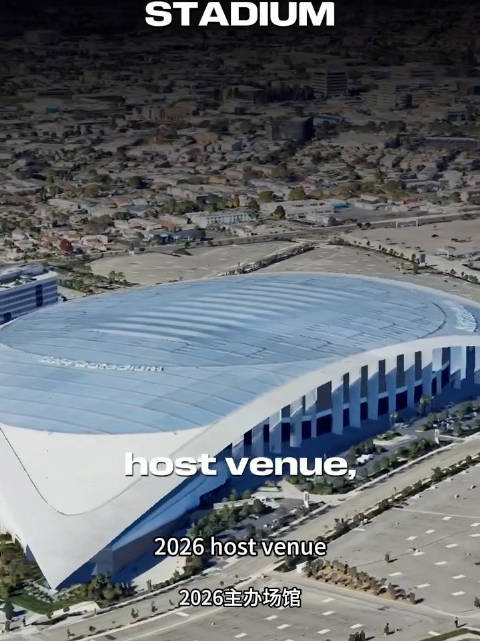 莎头组合兼项受伤引争议，奥运金牌换选择权遭